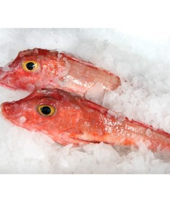 ROUGET GRONDIN ENTIER - LOT DE 1KG