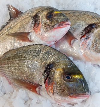 Dorade Royale Vidée 700g