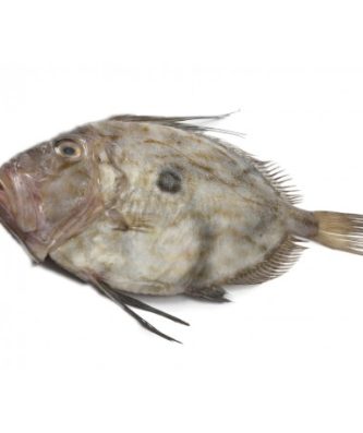 SAINT PIERRE VIDÉ - PIÈCE DE 1KG