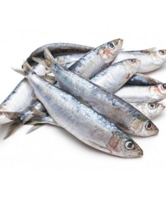 SARDINES BRETONNES - 500G
