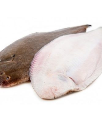 SOLE GROSSE - PIÈCE DE 1,1KG