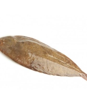 SOLE GROSSE - PIÈCE DE 500G