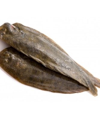 SOLE GROSSE - PIÈCE DE 700G