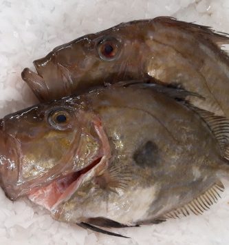 Saint Pierre Vidé 1,3kg