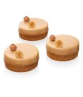 TARTE INFINIMENT PRALINE NOISETTE
