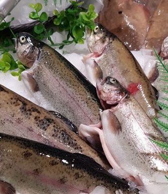 Truite Rosée