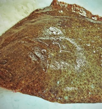 Turbot Vidé 700g