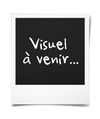 Medion Md 19407 Aspirateur Cyclonique Sans Sac - Puissance 800w - Capacité Bac A Poussiere 2 L - Filtre Hepa - Accessoires Int Medion