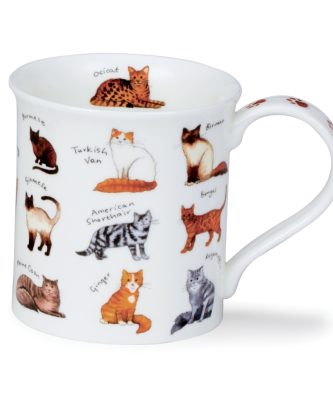 BUTE ANIMAL BREEDS CAT