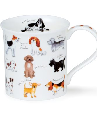 BUTE ANIMAL BREEDS DOG