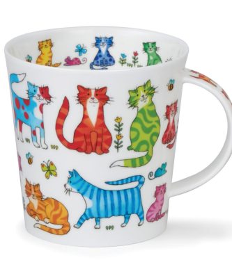 CAIR COLOURFUL CREW CAT