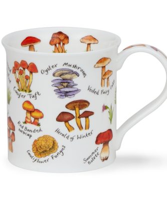 BUTE MUSHROOMS & TOADSTOOLS LI