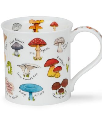 BUTE MUSHROOMS & TOADSTOOLS RE