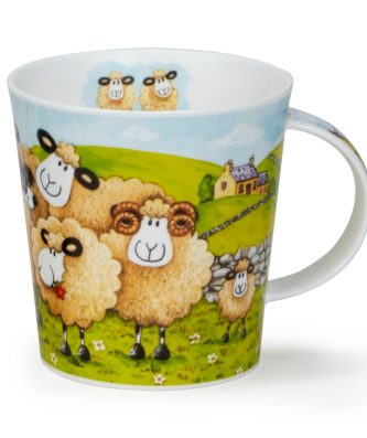 CAIR FOLLOW ME,FOLLOW EWE FARM