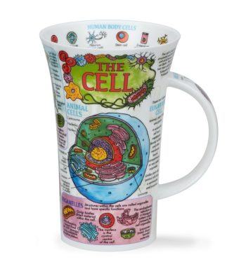GLEN THE CELL