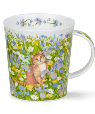 LOMO GARDEN CATS GINGER