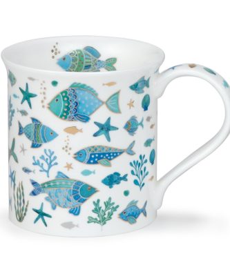 BUTE GOLD COAST FISH