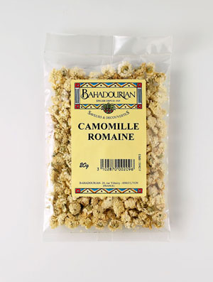 Camomille Romaine