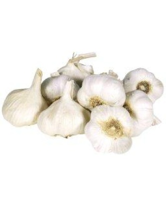 notre selection ail blanc