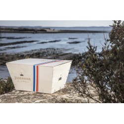 48 HUÎTRES JOSEPHINE N°3