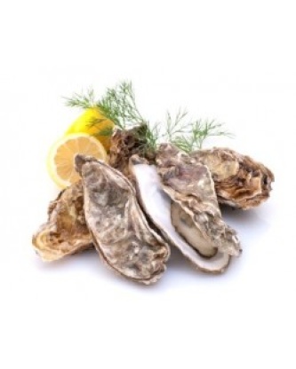 24 HUÎTRES SPECIALES MARENNES OLERON N°3