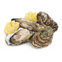 24 HUÎTRES LABEL ROUGE COURDAVAULT N°3