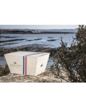 48 HUÎTRES JOSEPHINE N°4