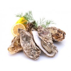 72 HUÎTRES SPECIALES COURDAVAULT N°3