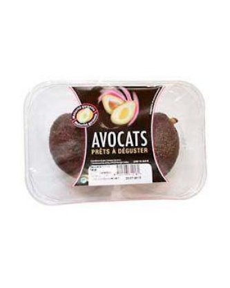 Avocat Hass, BIO, calibre 24, Pérou, barquette 2 fruits