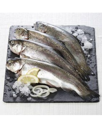 Truite portion, Oncorhynchus mykiss, élevée en France 300 g