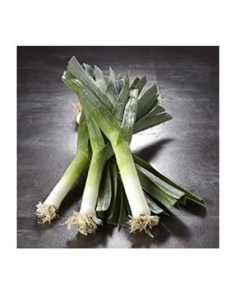 Poireau nouveau, France 1 Kg