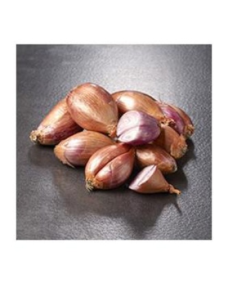 Echalote traditionnelle 1/2 longue, calibre 30/50, catégorie 1, France 250 g