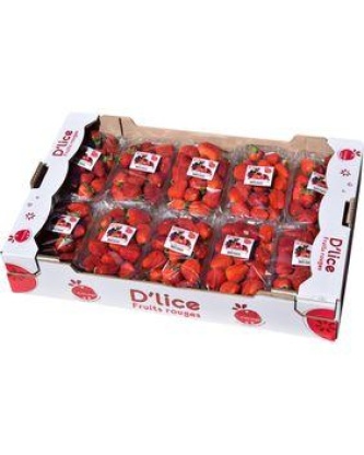 Fraise ronde, catégorie 1, France, barquette 500g