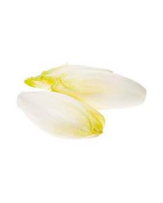 Endive, PERLE DU NORD, France au poids