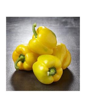 Poivron jaune, calibre 80/100, catégorie 1, Espagne 500 g