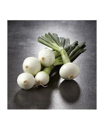 Oignon blanc, France, la botte