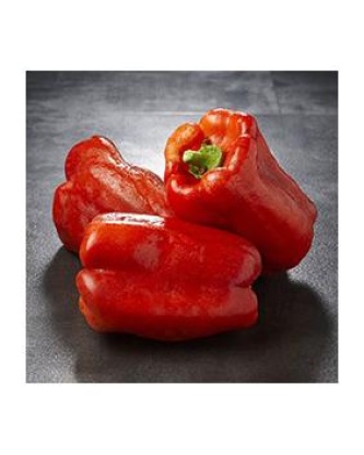 Poivron rouge, calibre 80/100, catégorie 1, Espagne 500 g