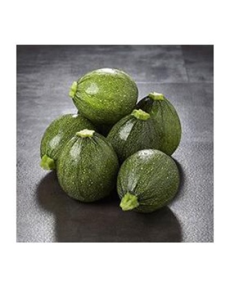 Courgette ronde, France 1 Kg