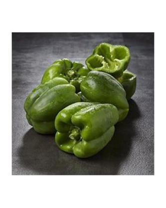 Poivron vert, calibre 80/100, catégorie 1, Espagne 500 g