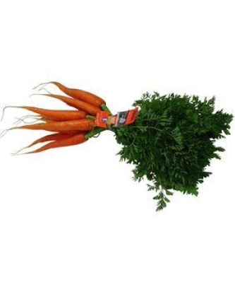 Carotte, France, la botte