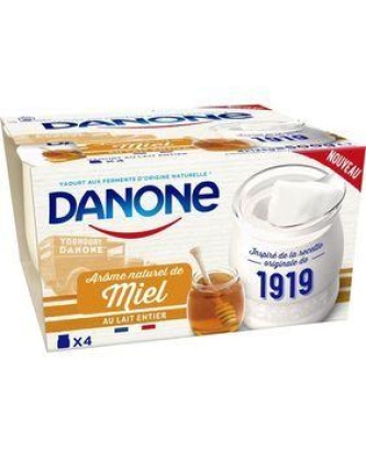 Yaourt au lait entier et à l'arôme naturel de miel DANONE, 4x125g