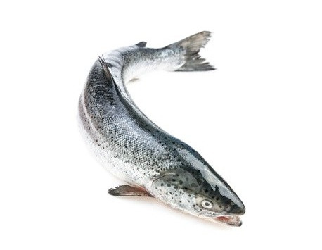 Saumon Entier - Pièce De 5 Kg