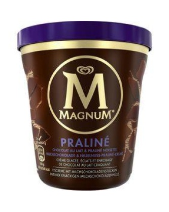 Créme glacée praline noisette MAGNUM pot 400ml