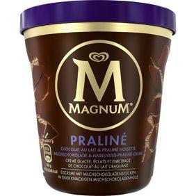 Créme glacée praline noisette MAGNUM pot 400ml