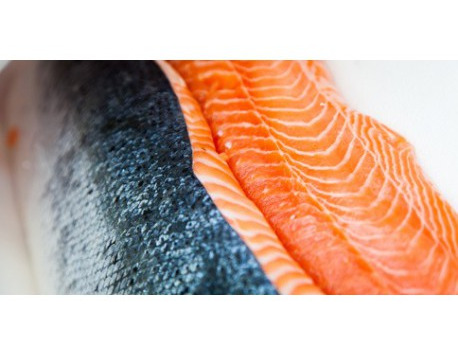 Filet De Saumon La Pièce De 1,3 Kg