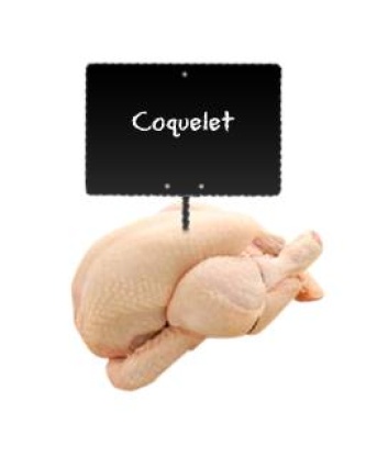le choix du volailler coquelet nu