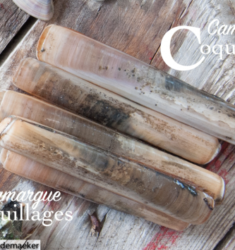 Couteaux De Camargue Pêché Au Sel- Pêche Responsable