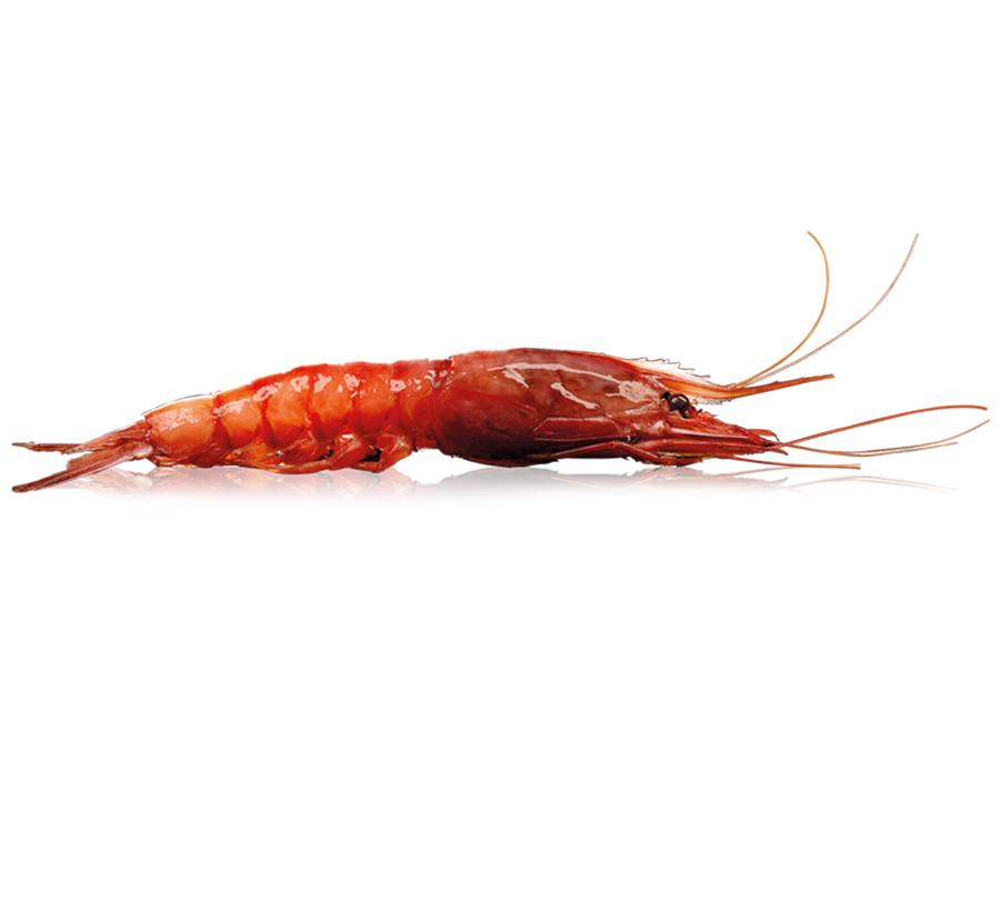 Les Gambero Rosso - 1 kg