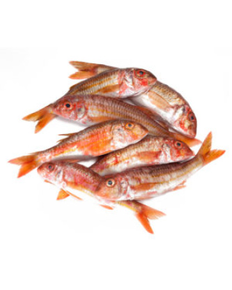 Rouget Barbet friture