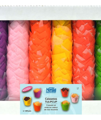 Caissette Tulipcup assortie (x 300)